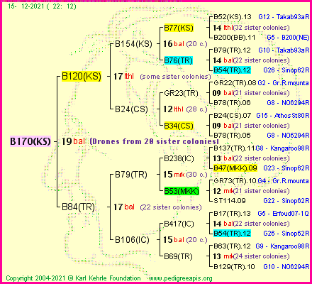 Pedigree of B170(KS) :
four generations presented
it's temporarily unavailable, sorry!