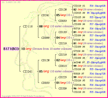 Pedigree of B171(BCI) :
four generations presented