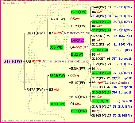 Pedigree of B171(FW) :
four generations presented