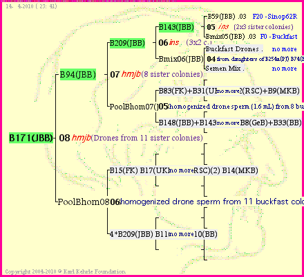 Pedigree of B171(JBB) :
four generations presented