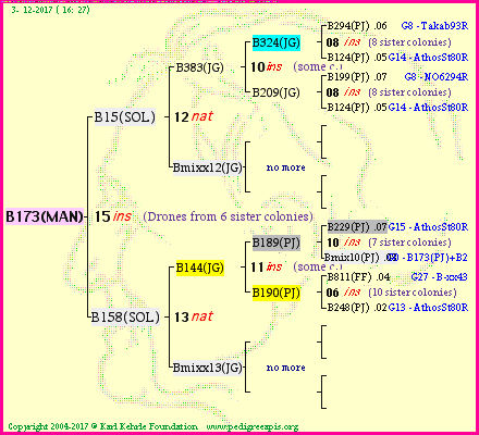 Pedigree of B173(MAN) :
four generations presented<br />it's temporarily unavailable, sorry!