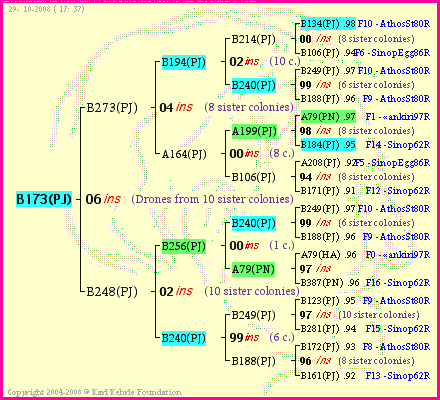 Pedigree of B173(PJ) :
four generations presented