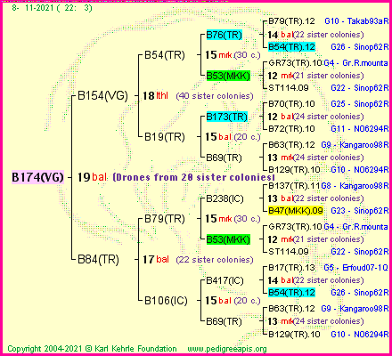 Pedigree of B174(VG) :
four generations presented
it's temporarily unavailable, sorry!