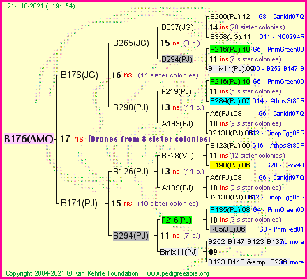 Pedigree of B176(AMC) :
four generations presented
it's temporarily unavailable, sorry!