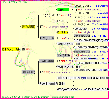 Pedigree of B176(GRA) :
four generations presented
it's temporarily unavailable, sorry!