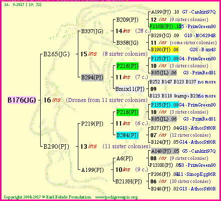 Pedigree of B176(JG) :
four generations presented
it's temporarily unavailable, sorry!