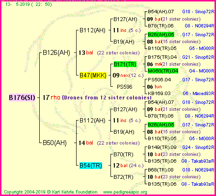 Pedigree of B176(SI) :
four generations presented<br />it's temporarily unavailable, sorry!