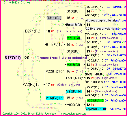 Pedigree of B177(PJ) :
four generations presented
it's temporarily unavailable, sorry!