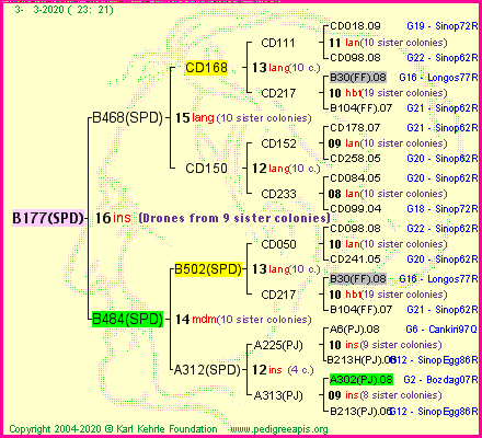 Pedigree of B177(SPD) :
four generations presented<br />it's temporarily unavailable, sorry!