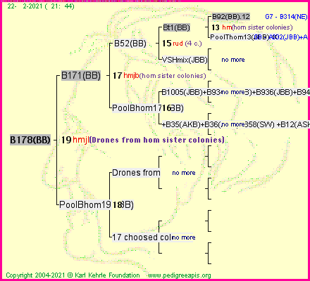 Pedigree of B178(BB) :
four generations presented
it's temporarily unavailable, sorry!