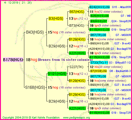 Pedigree of B178(HGS) :
four generations presented<br />it's temporarily unavailable, sorry!