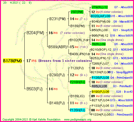 Pedigree of B178(PM) :
four generations presented
it's temporarily unavailable, sorry!