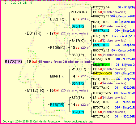 Pedigree of B178(TR) :
four generations presented<br />it's temporarily unavailable, sorry!