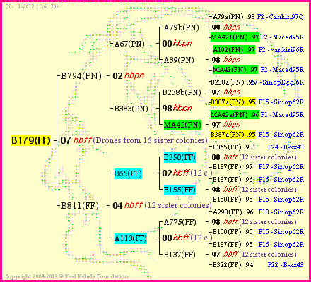 Pedigree of B179(FF) :
four generations presented