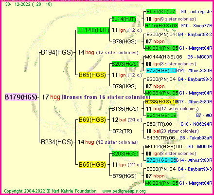 Pedigree of B179(HGS) :
four generations presented
it's temporarily unavailable, sorry!