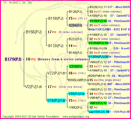 Pedigree of B179(PJ) :
four generations presented
it's temporarily unavailable, sorry!