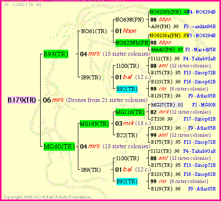Pedigree of B179(TR) :
four generations presented
it's temporarily unavailable, sorry!