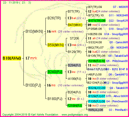 Pedigree of B18(AVM) :
four generations presented<br />it's temporarily unavailable, sorry!