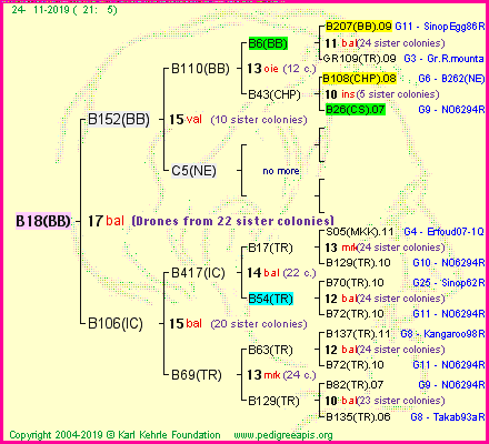 Pedigree of B18(BB) :
four generations presented<br />it's temporarily unavailable, sorry!