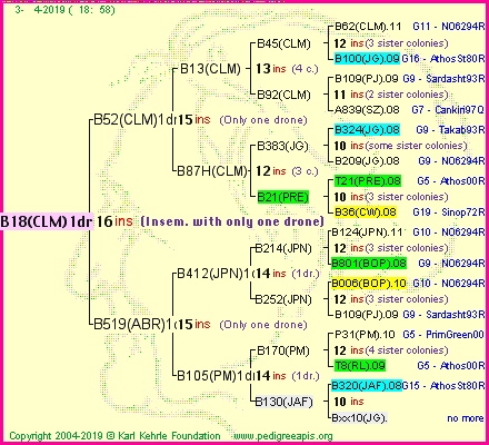 Pedigree of B18(CLM)1dr :
four generations presented<br />it's temporarily unavailable, sorry!