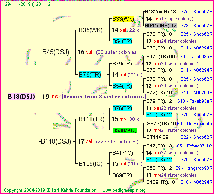 Pedigree of B18(DSJ) :
four generations presented
it's temporarily unavailable, sorry!