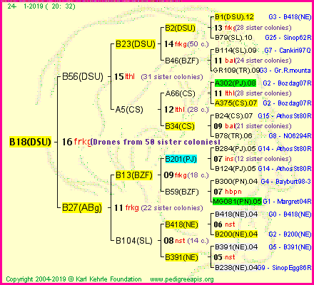 Pedigree of B18(DSU) :
four generations presented<br />it's temporarily unavailable, sorry!