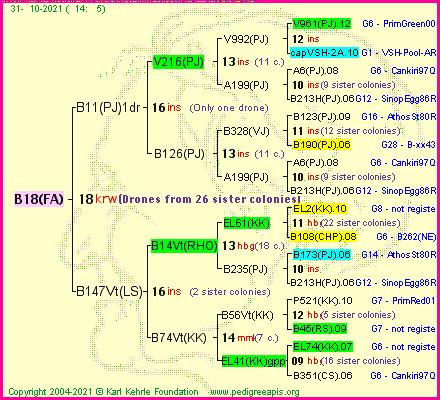 Pedigree of B18(FA) :
four generations presented
it's temporarily unavailable, sorry!