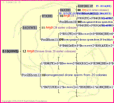 Pedigree of B18(HWB) :
four generations presented