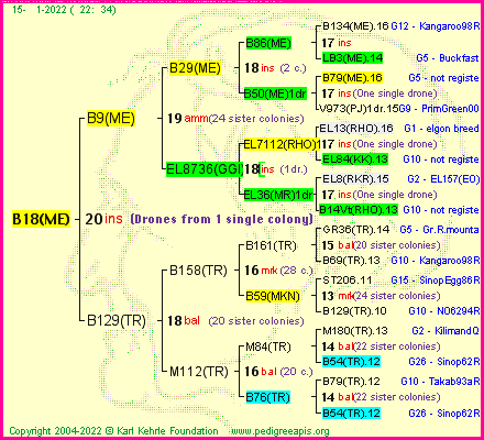 Pedigree of B18(ME) :
four generations presented
it's temporarily unavailable, sorry!