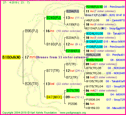 Pedigree of B18(MKN) :
four generations presented
it's temporarily unavailable, sorry!