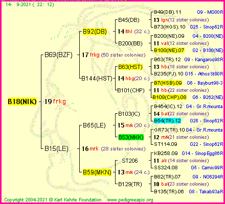 Pedigree of B18(NIK) :
four generations presented
it's temporarily unavailable, sorry!