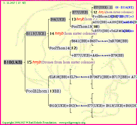 Pedigree of B18(UKB) :
four generations presented<br />it's temporarily unavailable, sorry!