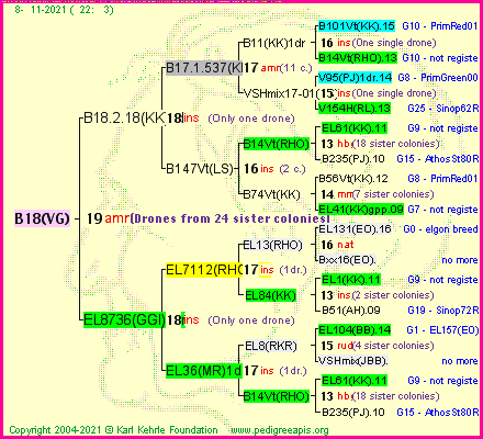 Pedigree of B18(VG) :
four generations presented
it's temporarily unavailable, sorry!