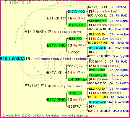 Pedigree of B18.1.60(KK) :
four generations presented<br />it's temporarily unavailable, sorry!