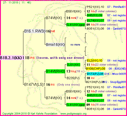 Pedigree of B18.2.1(KK)1dr :
four generations presented
it's temporarily unavailable, sorry!