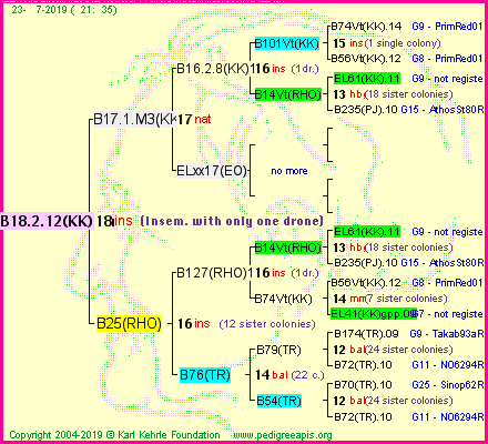 Pedigree of B18.2.12(KK)1dr :
four generations presented
it's temporarily unavailable, sorry!