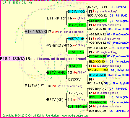 Pedigree of B18.2.18(KK)1dr :
four generations presented
it's temporarily unavailable, sorry!