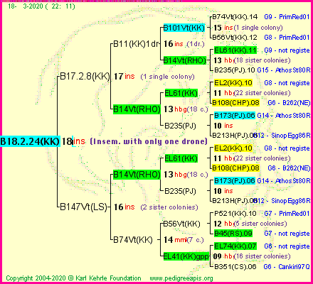 Pedigree of B18.2.24(KK)1dr :
four generations presented
it's temporarily unavailable, sorry!