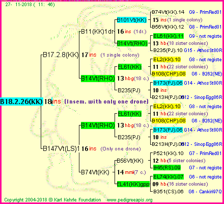 Pedigree of B18.2.26(KK)1dr :
four generations presented
it's temporarily unavailable, sorry!