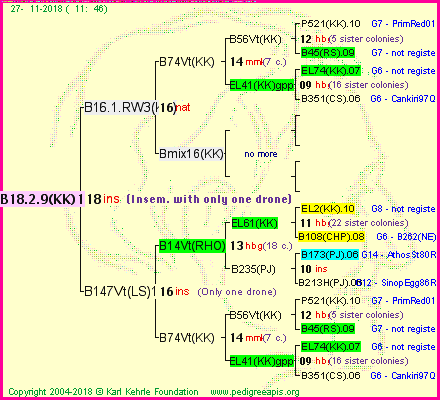 Pedigree of B18.2.9(KK)1dr :
four generations presented<br />it's temporarily unavailable, sorry!