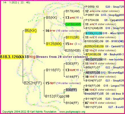 Pedigree of B18.3.126(KK) :
four generations presented
it's temporarily unavailable, sorry!