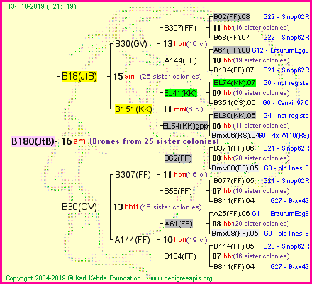 Pedigree of B180(JtB) :
four generations presented<br />it's temporarily unavailable, sorry!