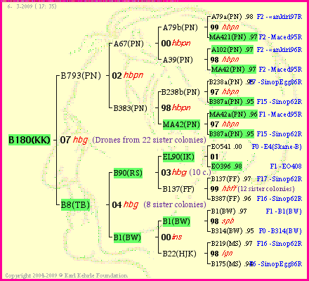 Pedigree of B180(KK) :
four generations presented