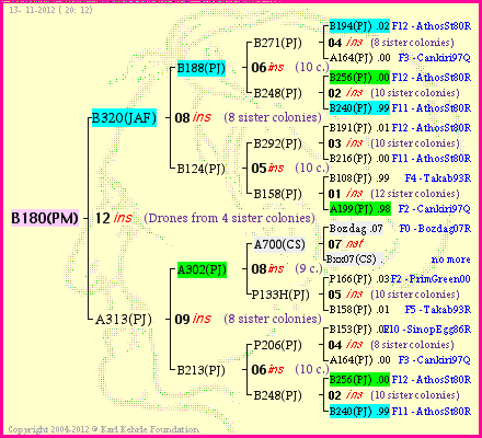 Pedigree of B180(PM) :
four generations presented