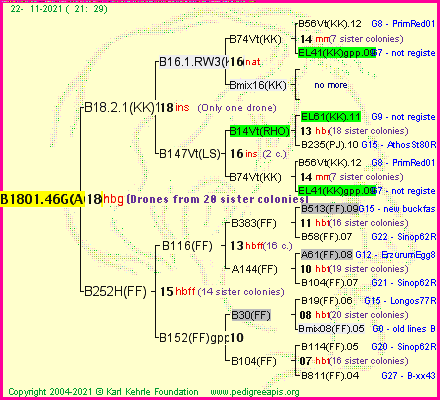 Pedigree of B1801.46G(ACL) :
four generations presented
it's temporarily unavailable, sorry!