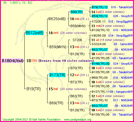 Pedigree of B1804(AM) :
four generations presented
it's temporarily unavailable, sorry!