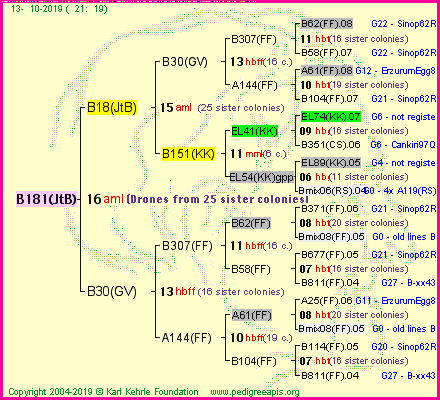 Pedigree of B181(JtB) :
four generations presented<br />it's temporarily unavailable, sorry!