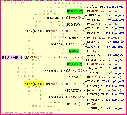 Pedigree of B181(MKR) :
four generations presented
it's temporarily unavailable, sorry!