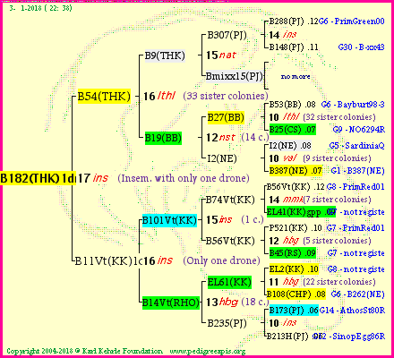 Pedigree of B182(THK)1dr :
four generations presented
it's temporarily unavailable, sorry!