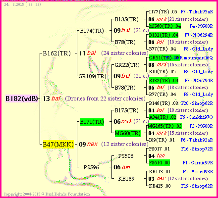 Pedigree of B182(vdB) :
four generations presented